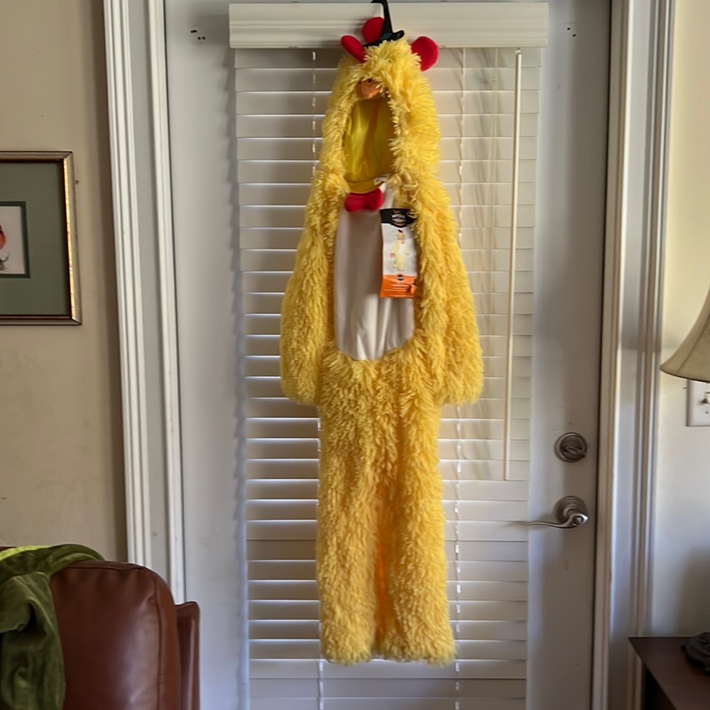 Halloween Costume Chicken